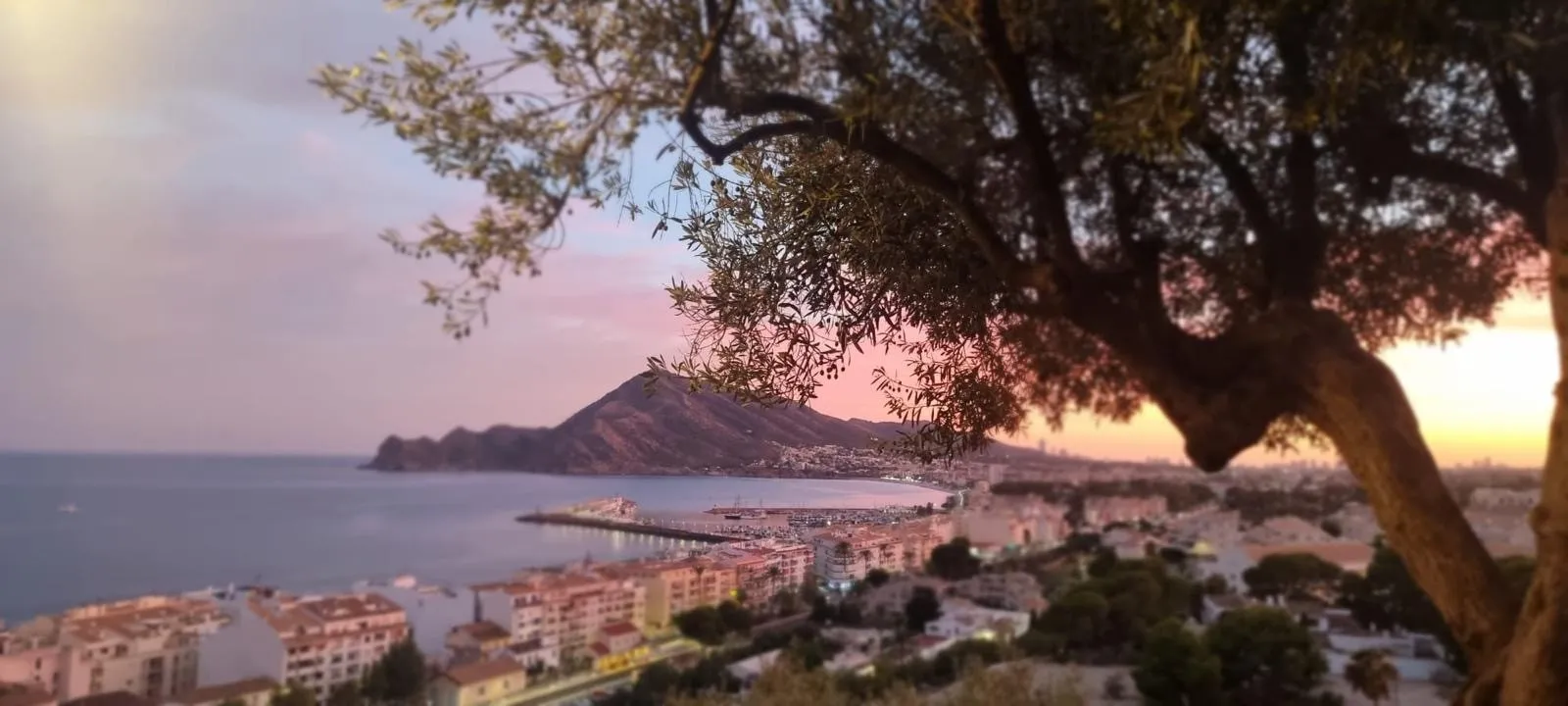 Costa Blanca Landscape 5