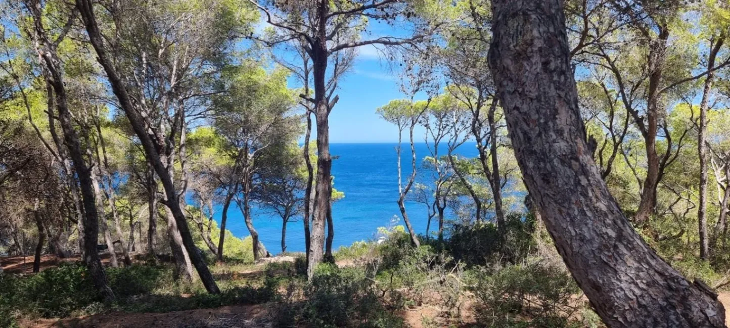 Costa Blanca Landscape 8